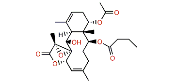 11,12-Deoxystecholide E